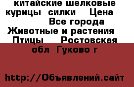 китайские шелковые курицы (силки) › Цена ­ 2 500 - Все города Животные и растения » Птицы   . Ростовская обл.,Гуково г.